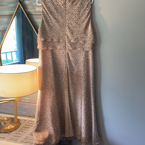 Super cute Jacques Vert dress NWT - Picture 4 of 6